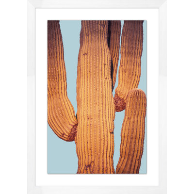 «Desert Cactus 2» par Christopher Kennedy - Photographie de cadre photo sur papier