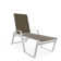 Holna Outdoor Rust-Resistant Metal Chaise Lounge