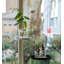 Plant Tray Hanging Round-71819498-71819496