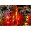 Christmas Decorative Accent-1857531879