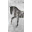 Reproduction de silhouette de cheval brun sur toile