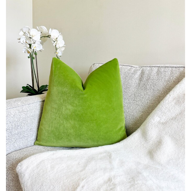 Housse de coussin en velours Bright Bright, H 20 po x l 20 po, Vert