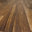 Antique Walnut