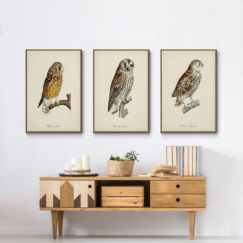 French Owls I - ensemble de 3 reproductions sur toile, Cadre noyer, H 48 po x l 96 po x P 2 po