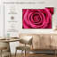 Rose vif-1995490623-1995490619