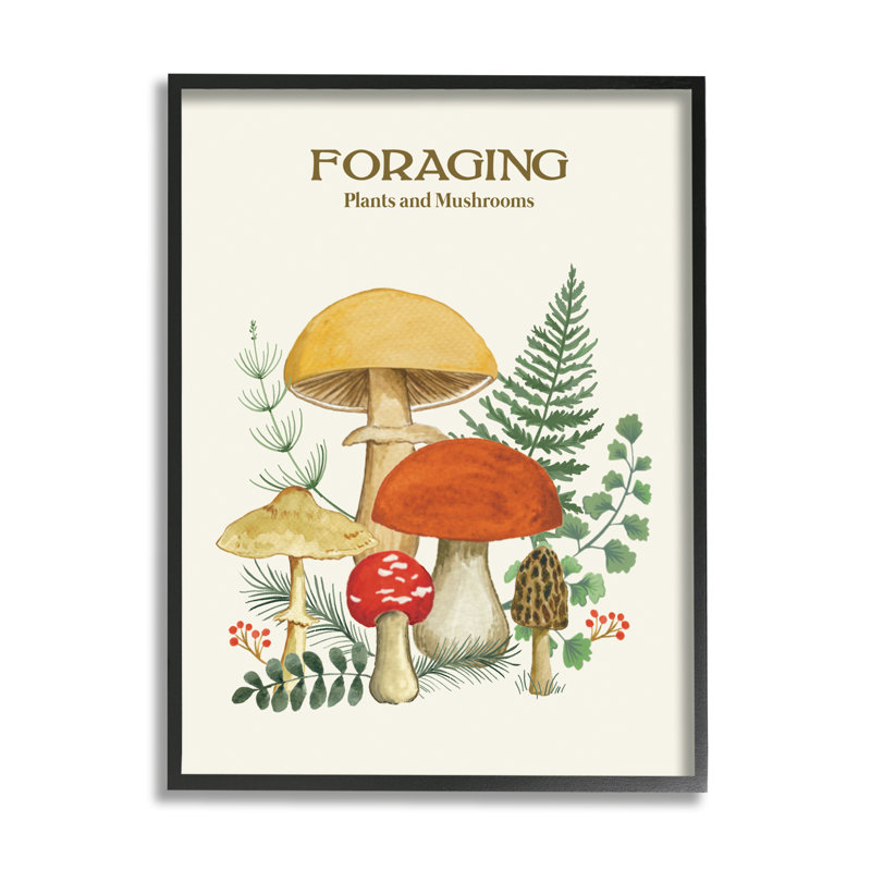 "Stupell Industries Botanical Plants & Mushroom", art mural sur toile par Sharon Lee, H 14 po x l 11 po x P 1,5 po