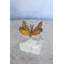 Aghaboy Butterfly Mounted on a Rock Statue