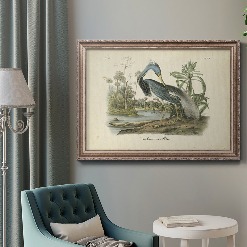 «Louisiana Heron» par John Audubon - peinture sur toile encadrée, H 16 po x l 20 po