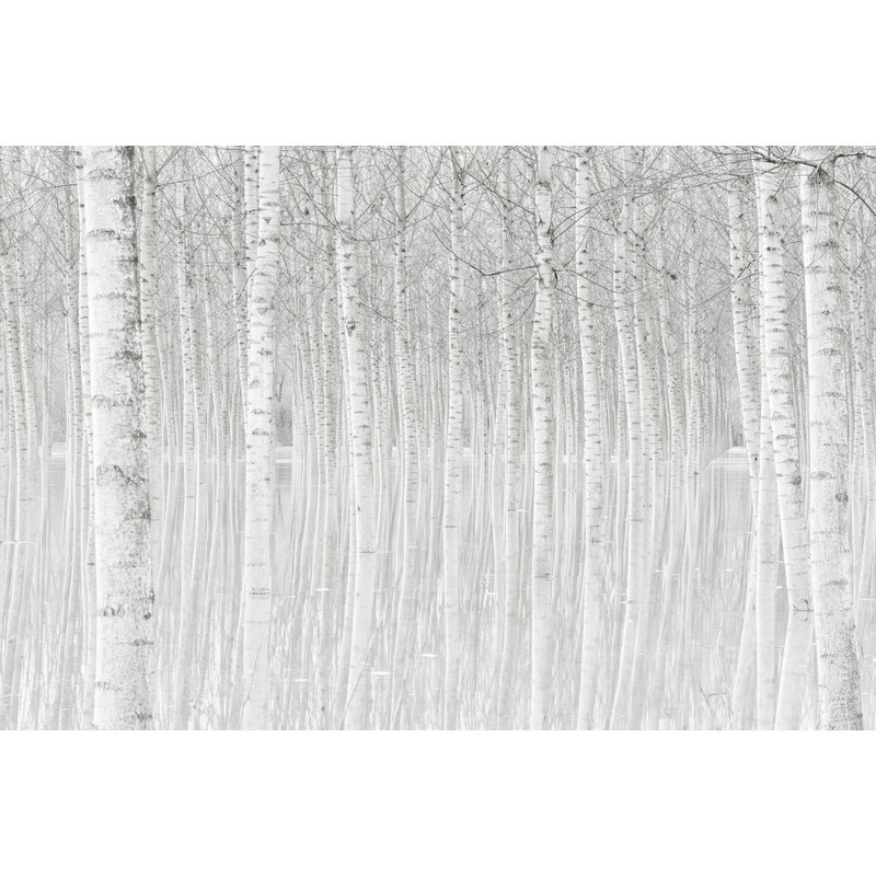 Wrapped Canvas Print, 50.8 cm H x 76.2 cm W