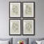 «Soft Shape I», ensemble de 4 reproductions de cadres photo-1393158563-1393158560