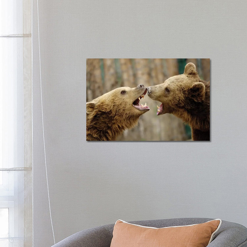 Fight by Goran Anastasovski - Wrapped Canvas Print, 66.04 cm H x 45.72 cm W x 3.175 cm D
