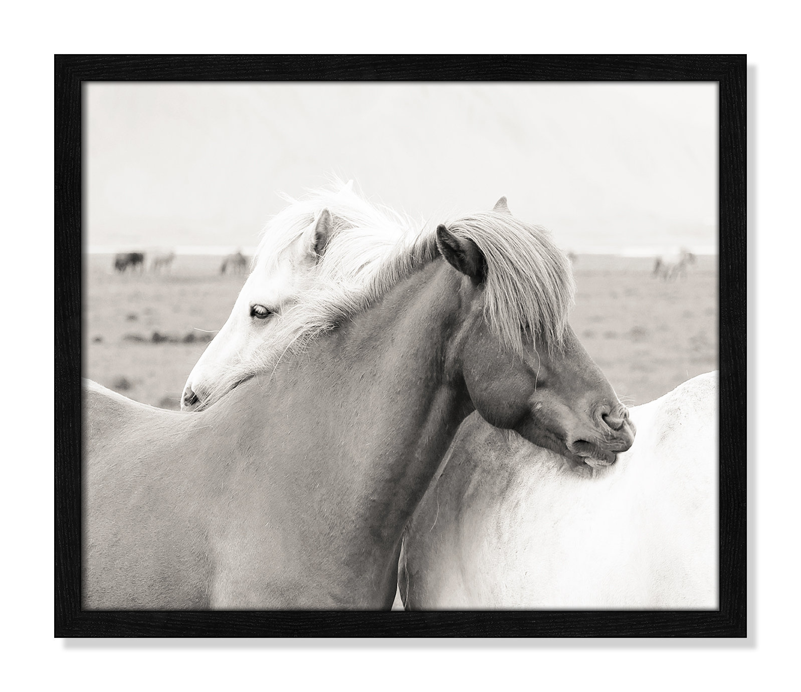 Melanie "Icelandic Meadow Horses" Print, 16" H x 19" W x 0.75" D, Black Wood Grain Framed