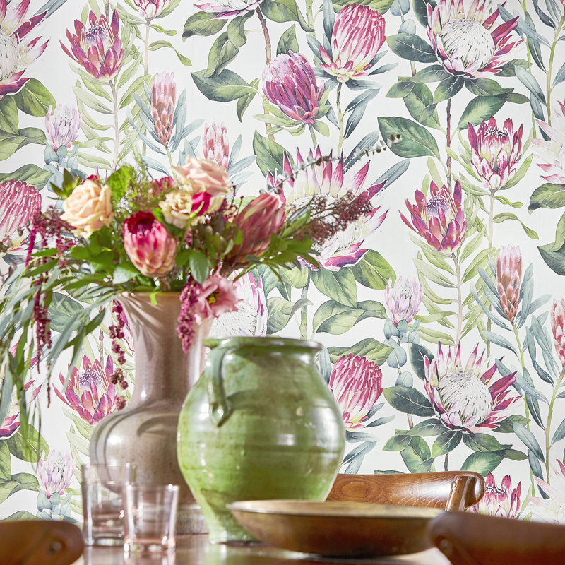King Protea Wallpaper, Rhodera/Cream