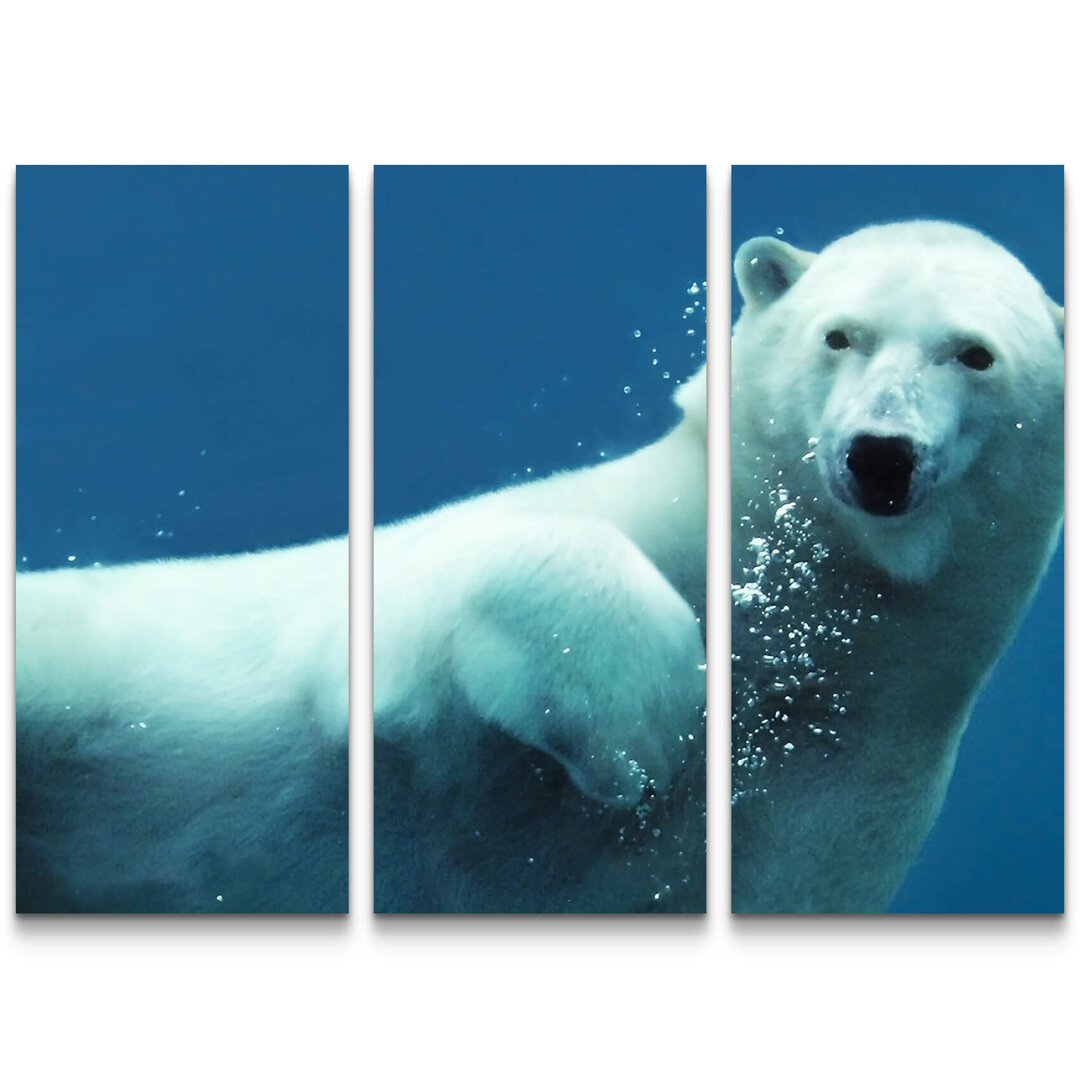 3-tlg. Leinwandbilder-Set Eisbär unter Wasser - Fotografie