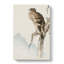 Kite Bird by Numata Kashu - Wrapped Canvas-55309591