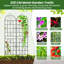 Metal Arched Trellis-1568937333