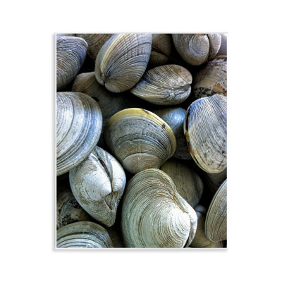 Maritime Clams Pile Wall Plaque Art by Graffi*tee Studios