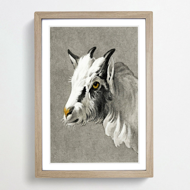 Head of a Goat by Jean Bernard - Picture Frame Painting Print, 65cm H x 48cm W x 2cm D, Oak Framed