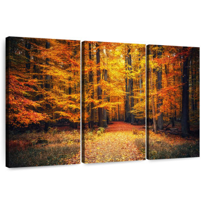 Harnek Autumn Pathway Trees