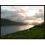 Sheep (Faroe Islands) Painting by Tommy Kwak