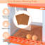 Boîte de nidification murale à 4 compartiments en acier galvanisé orange pour et canards, avec coussin en fibre de noix de coco naturelle, ventilation, installation facile, nettoyage facile