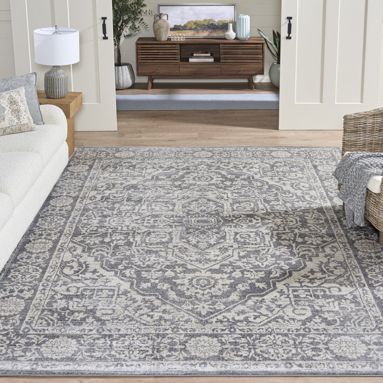 Amyrose Oriental Indoor Rug