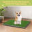 Evrard Polyester Pet Bed