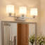 Luminaire de meuble-lavabo 3 lumières 22 po avec abat-jour en verre opale 22 po-133495802