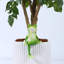 Statue de grenouille pour le jardin, figurine de grenouille verte pour la cour de décoration extérieure et sculpture de jardin en résine - Boire du vin rouge