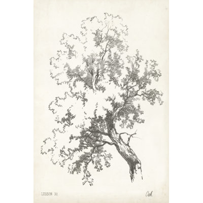 Oak Tree Study - Wrapped Canvas Painting