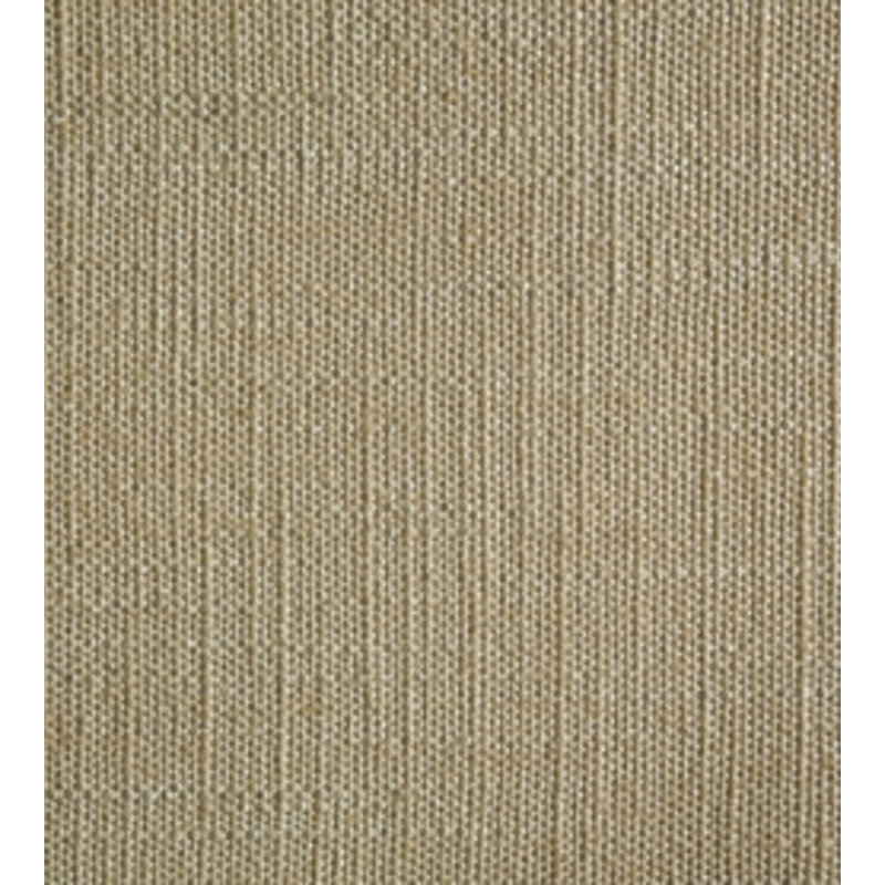 Miami Fabric, Eggnog