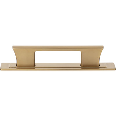 Zander 12" Center To Center Bar Pull