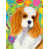 Épagneul cavalier King Charles 4 sélectionné