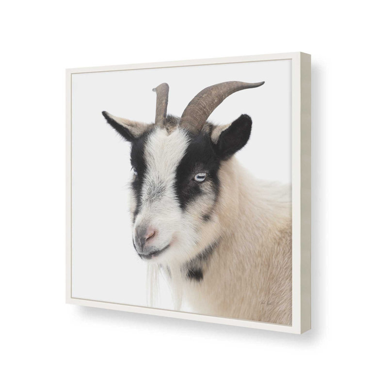 «Pippa The Goat IV» par Deborah Revell, reproduction d'art, H 12 po x l 12 po, Blanc