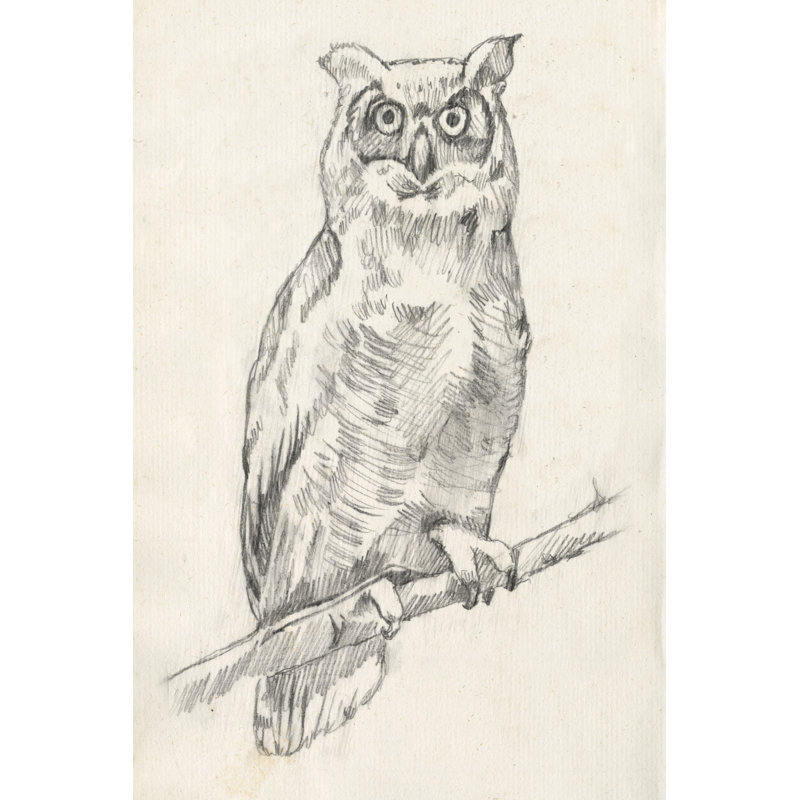 Portrait de hibou I, H 18 po x l 12 po x P 1,25 po