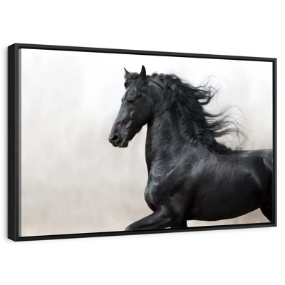 Black Friesian Horse