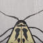 «Moth Blue II», reproduction d'art encadrée texturée à la main-886837027-886837026