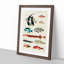 East Indies Fish Illustrations Fol. 3 by Louis Renard - Picture Frame Painting Print-55547273-55547274