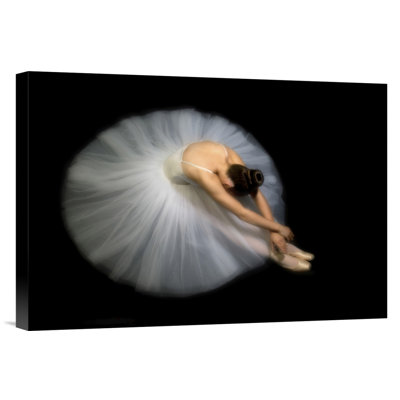 " Elegance " by Pauline Pentony Ba