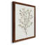 Toile simple encadrée Premium Sprig III - prête à être accrochée-1499364528-1499364542