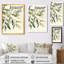 Douce eucalyptus olive branche IV - verdure, art mural-1357860289-1357860295