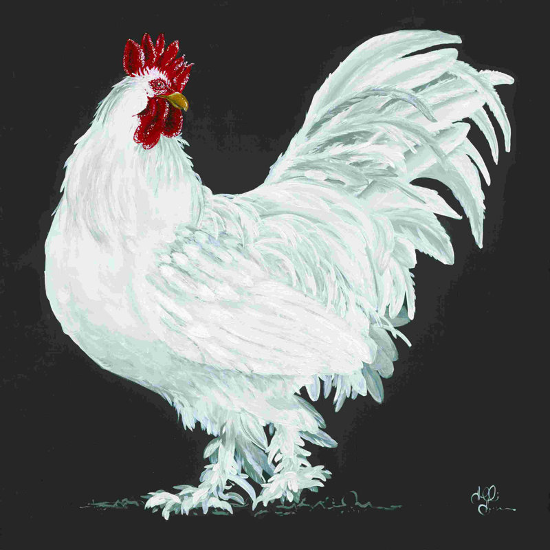 Coq 2885957, H 12 po x l 12 po