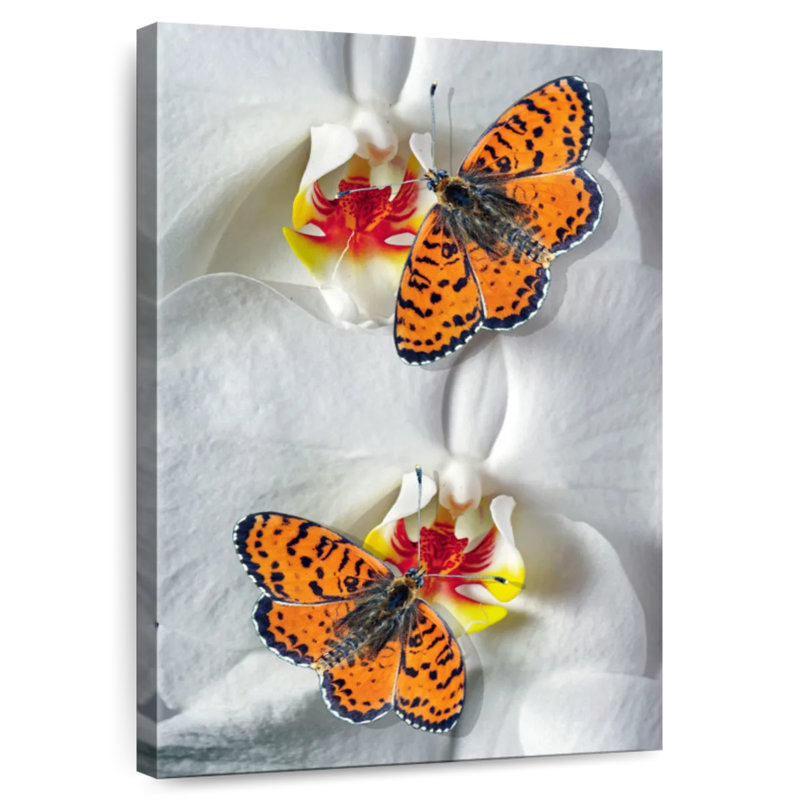 Brampt Orange Butterfly Duo, 45" H x 30" W