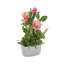 Nehamiah Hydrangea Arrangement in Vase