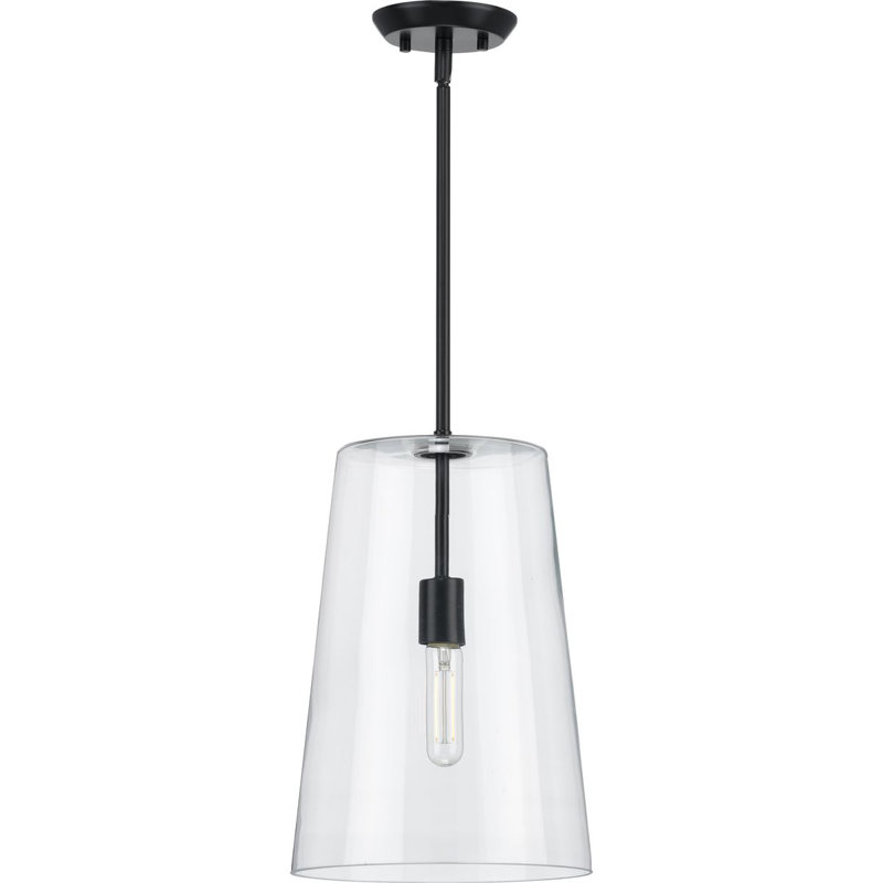 Luminaire suspendu conique à 1 lumière Selena, H 15,88 po x l 10,5 po x P 10,5 po, Noir