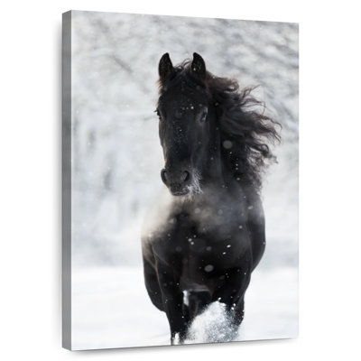 Brampt Dark Friesian Horse