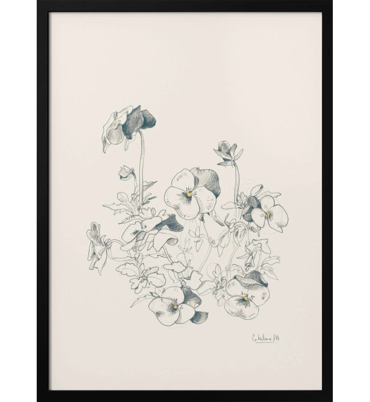 "Pansies pencil drawing" Framed Textured Wall Art, Black, 14" H x 10" W