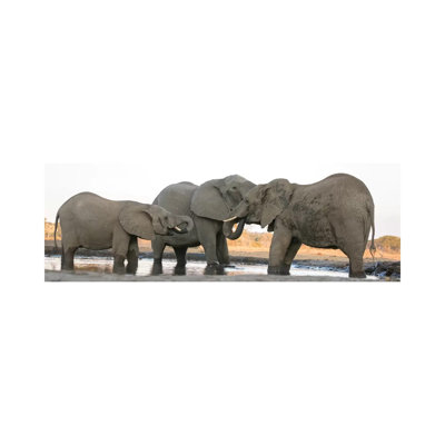 Africa, Botswana, Senyati Safari Camp. Elephants At Waterhole by Jaynes Gallery - Wrapped Canvas Panoramic Print