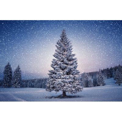 Winter Tree by Borchee - No Frame Print on Canvas