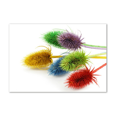 Thistle 1 Piece Wrapped Canvas Wall Art